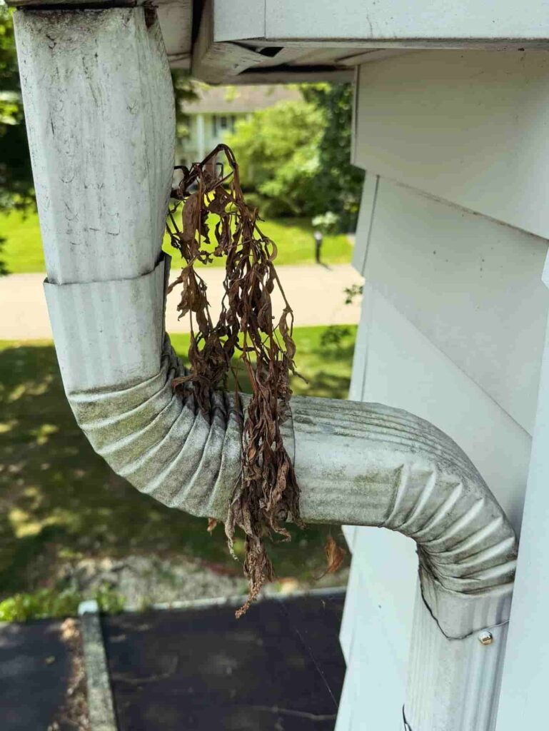Downspouts Cleaning Buffalo NY