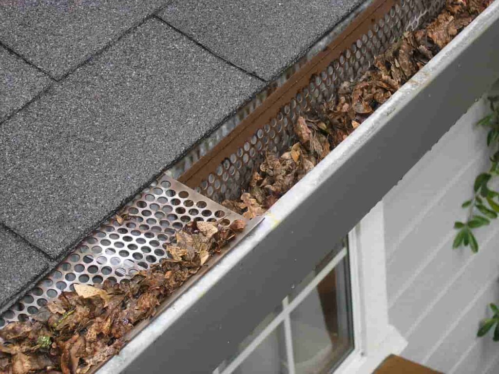 Gutter Cleaning Buffalo NY