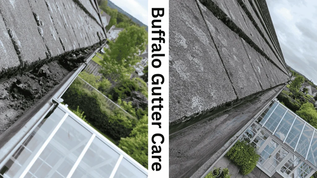 Gutter Cleaning Buffalo