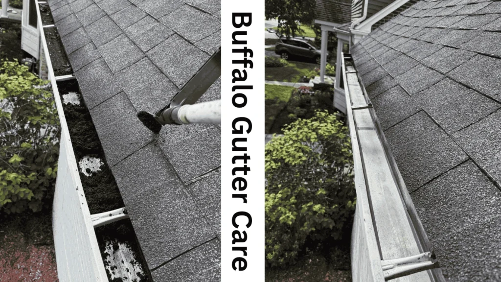 Gutter cleaning services Buffalo